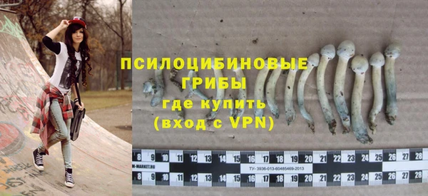 индика Абдулино
