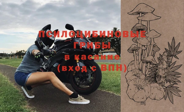 индика Абдулино