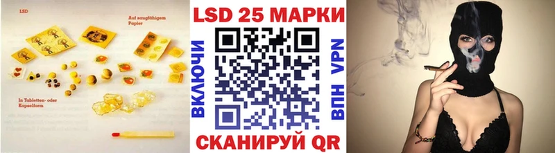продажа наркотиков  Злынка  Лсд 25 экстази кислота 