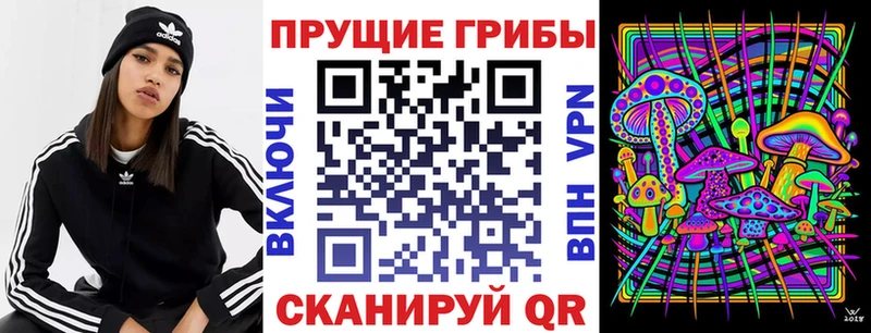 KRAKEN tor  Злынка  Галлюциногенные грибы ЛСД 